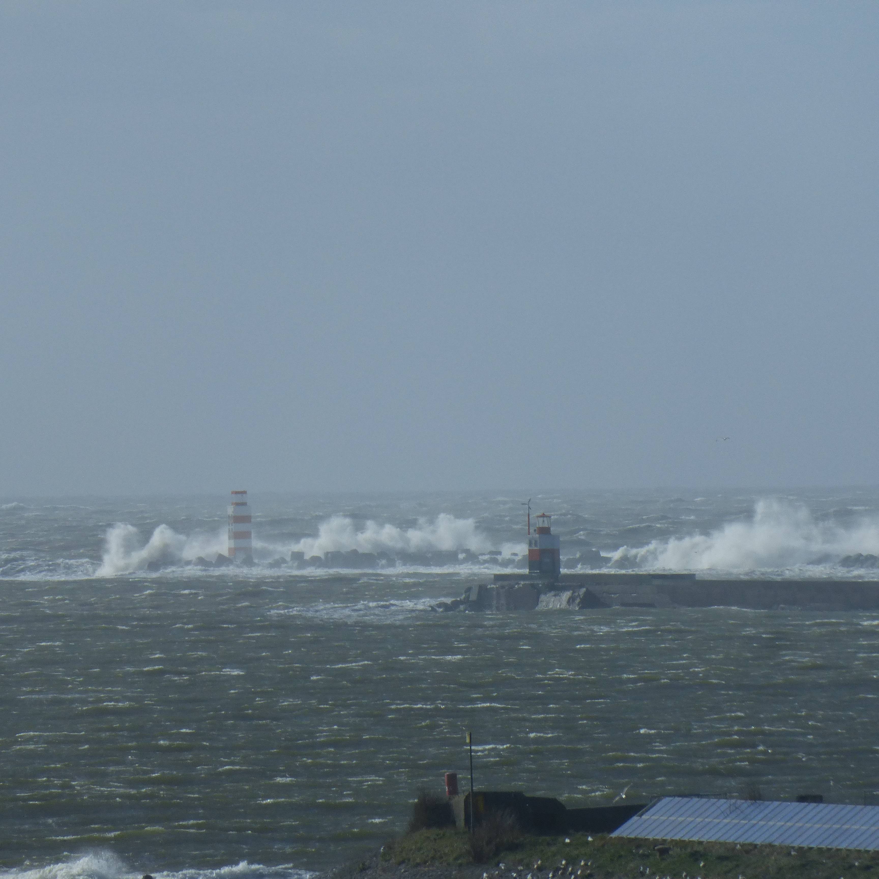 Pieren IJmuiden 31-3-15 